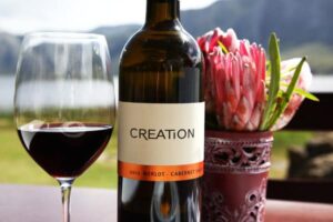 Creation en vingård i Sydafrika