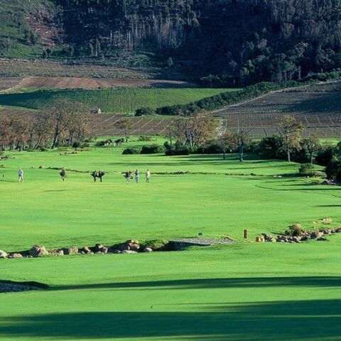 Vacker golfbana Steenberg i Kapstaden, Sydafrika